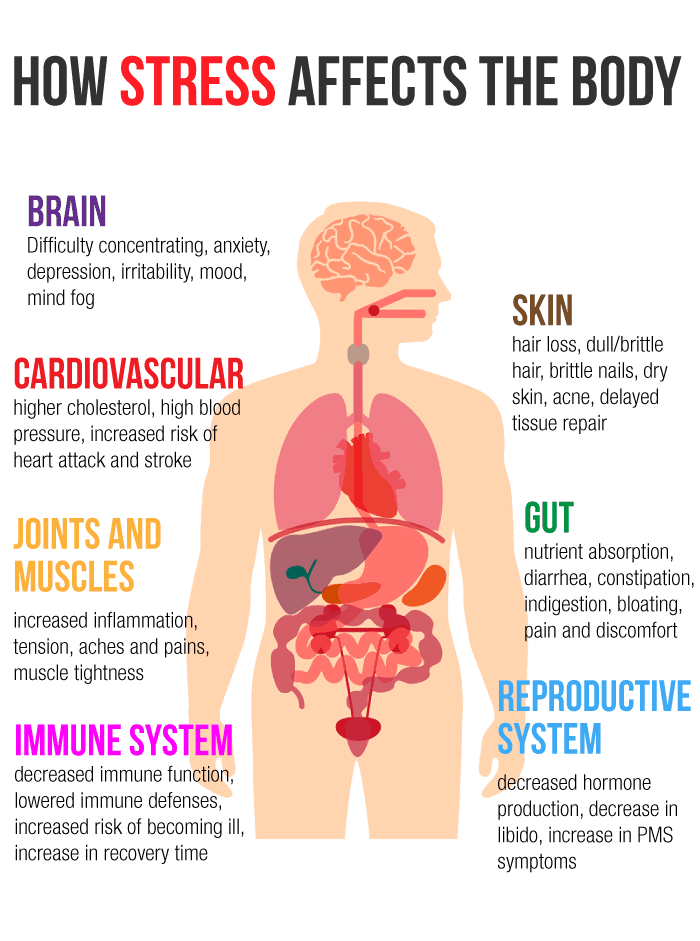 how-stress-affects-the-body-1